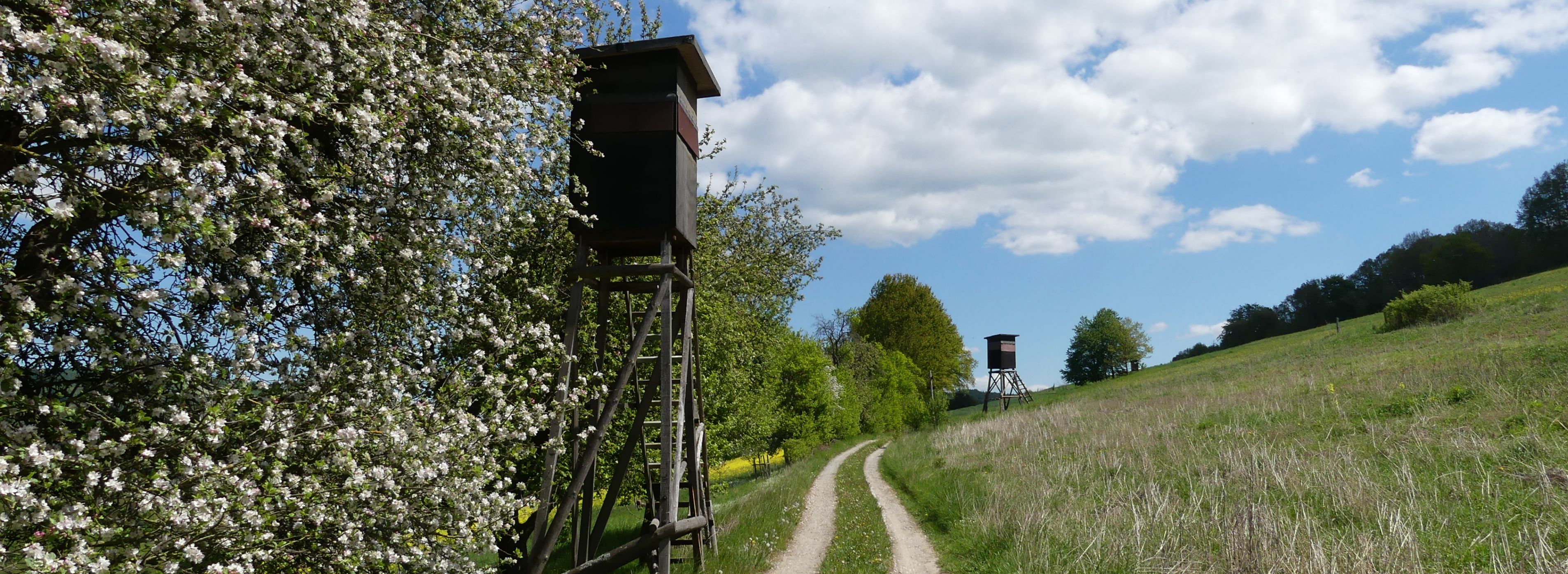 Söhrewald Söhrewald